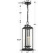 Aspen 4 Light 6.5 inch Matte Black Outdoor Pendant