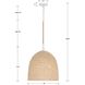 Jasper 3 Light 16 inch Matte White Pendant Ceiling Light