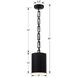 Alston 1 Light 8 inch Matte Black and White Mini Pendant Ceiling Light in Matte Black with White
