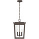 Belmont 3 Light 12 inch Twilight Bronze Outdoor Pendant