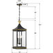 Simpson 3 Light 10 inch Matte Black and Textured Gold Outdoor Pendant