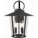 Andover 4 Light 17.25 inch Matte Black Outdoor Sconce in Clear