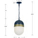 Capsule 1 Light 8 inch Matte Black/Textured Gold Outdoor Pendant