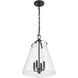 Voss Pendant Ceiling Light in Matte Black