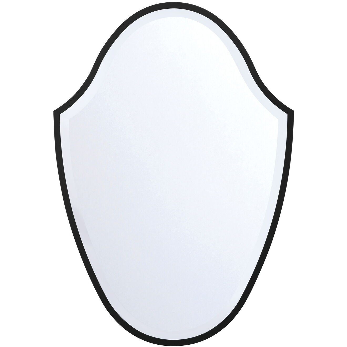 Lindee 40 X 28 inch Matte Black Mirror