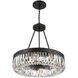 Alister 8 Light 23.25 inch Charcoal Bronze Chandelier Ceiling Light