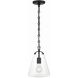 Voss 1 Light 8.25 inch Matte Black Mini Pendant Ceiling Light
