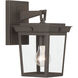 Belmont 1 Light 11.25 inch Twilight Bronze Outdoor Sconce