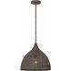 Jasmine 1 Light 14 inch Forged Bronze Pendant Ceiling Light