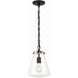 Voss 1 Light 8.25 inch Matte Black Mini Pendant Ceiling Light