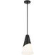 Tori 1 Light 9 inch Matte Black Mini Pendant Ceiling Light