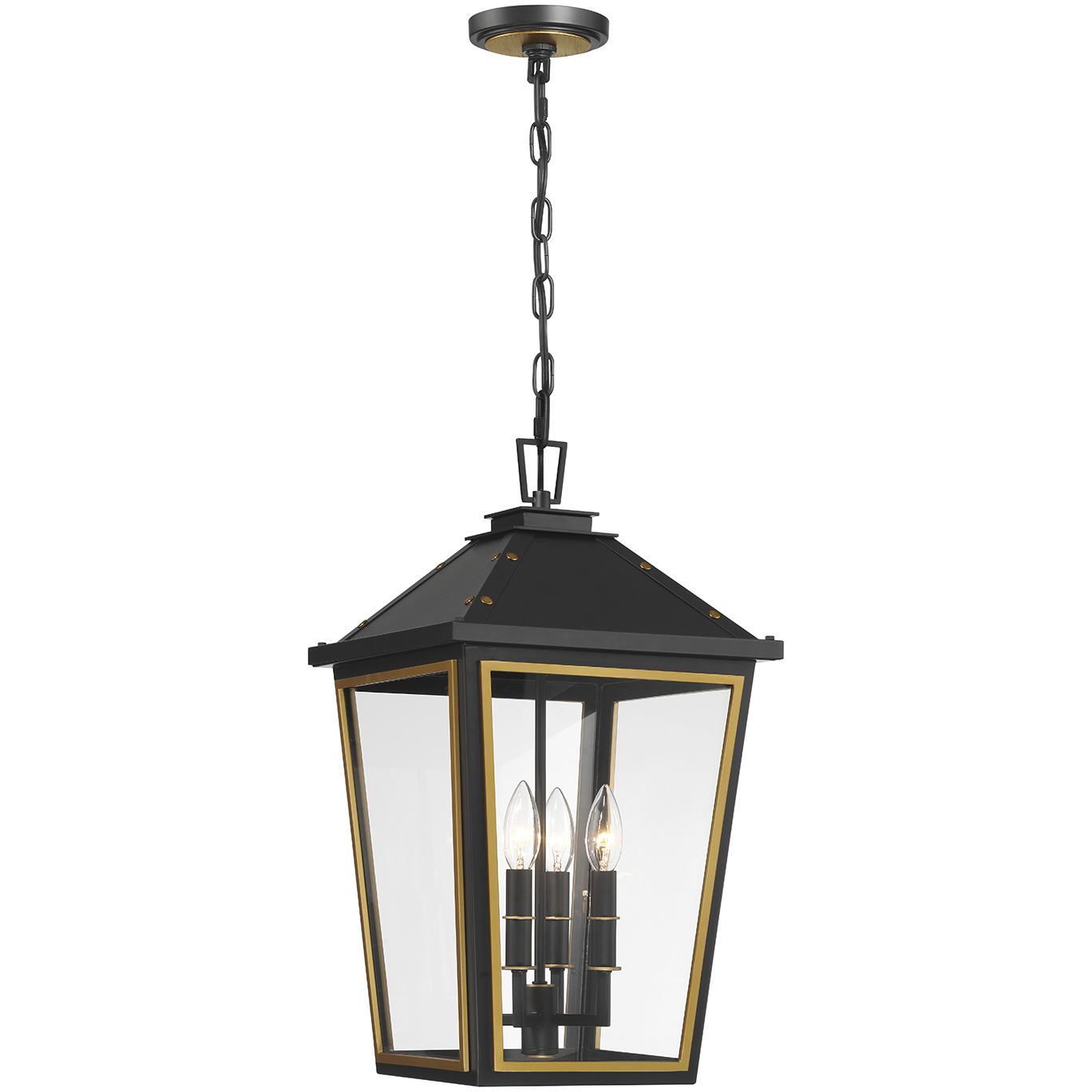 Hawkins 4 Light 12 inch Matte Black and Textured Gold Outdoor Pendant